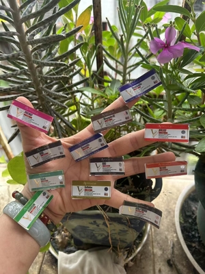 Etiquetas de 2 ml de vial para diferentes productos péptidos con impresión de oro redondo