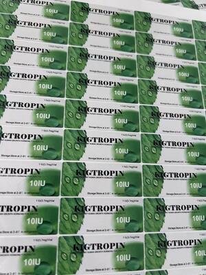 Etiquetas personalizadas impermeables de PVC H gh 100iu